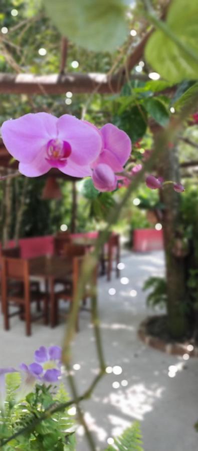 Vila Araticum Praia Santo Andre  Bagian luar foto